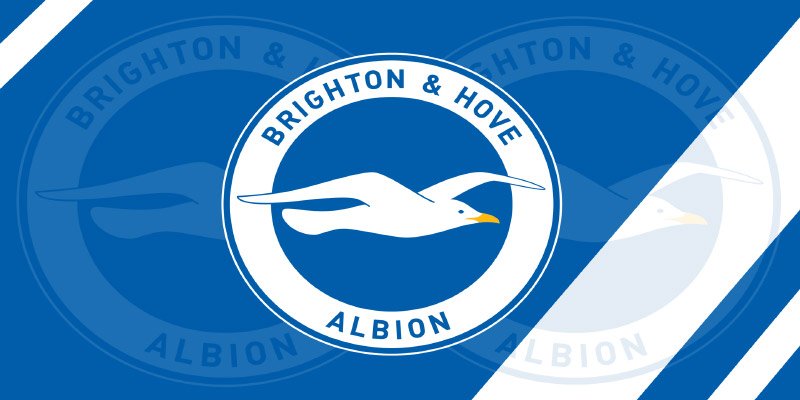 Brighton FC: The Rise of the Seagulls